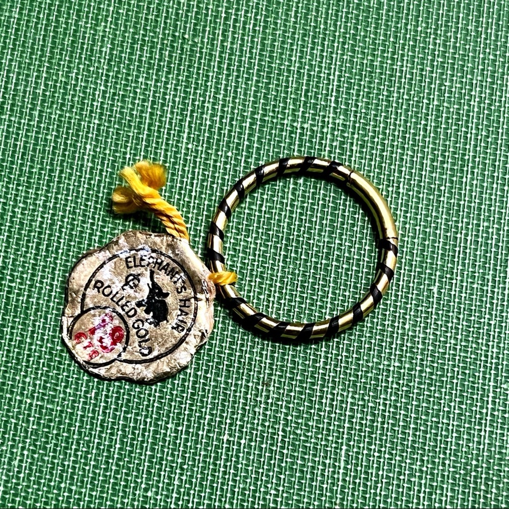 Victorian Elephant Hair 18k Gold Ring Talisman